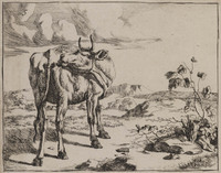 TvB G 0476
<br/>
Koe die zijn achterste likt
<br/>
<em>Bije, Marcus de (1639-ca. 1690)</em>